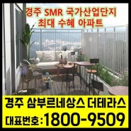 경주 삼부르네상스 더테라스최신정보 경주 SMR(혁신 원자력) 국가산업단지 최대 수혜 아파트
