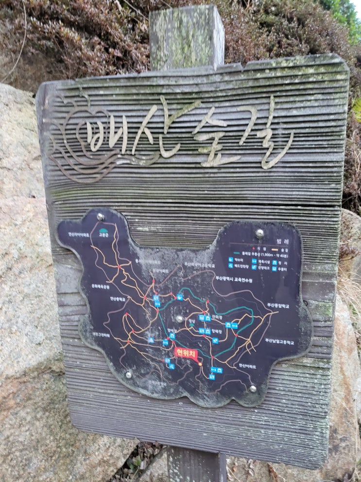 부산 배산 등산 (배산역 출발) : 네이버 블로그