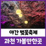 렛츠런파크 야간벗꽃축제에서 힐링타임