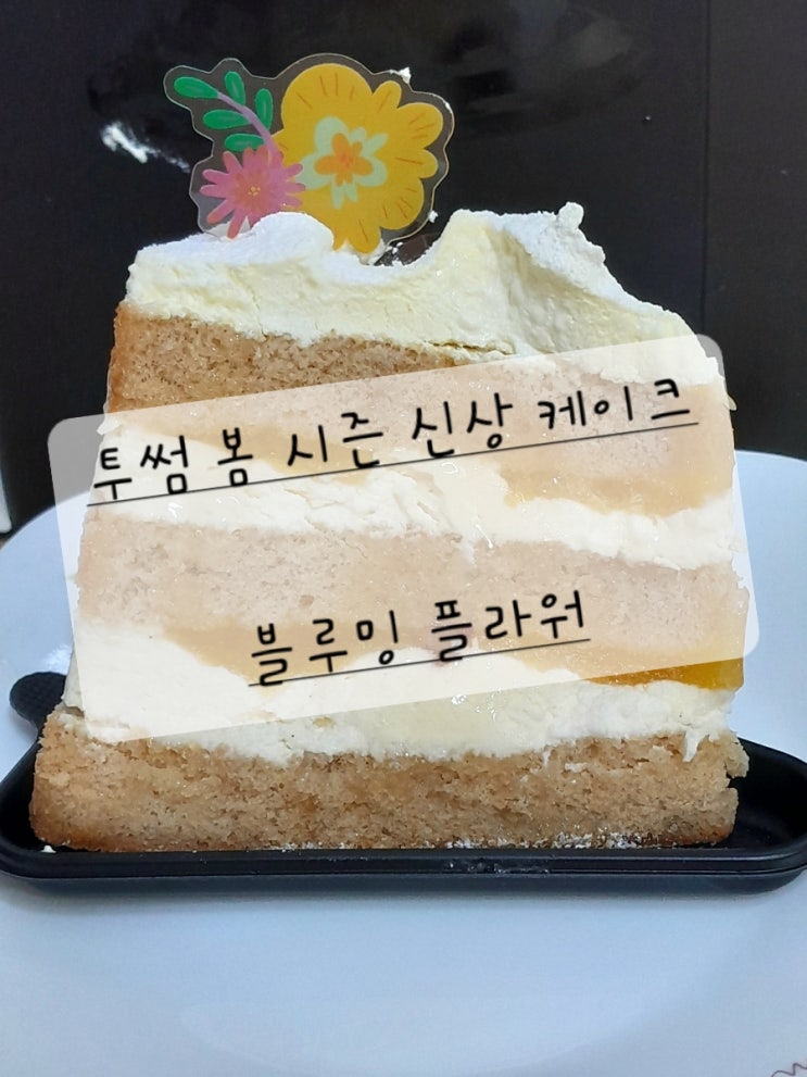 투썸플레이스 메뉴 봄 시즌 신상 케이크 블루밍 플라워 조각케익 (가격/칼로리/영양성분) 후기 (+블루밍케이크 신메뉴 출시 기념 ...