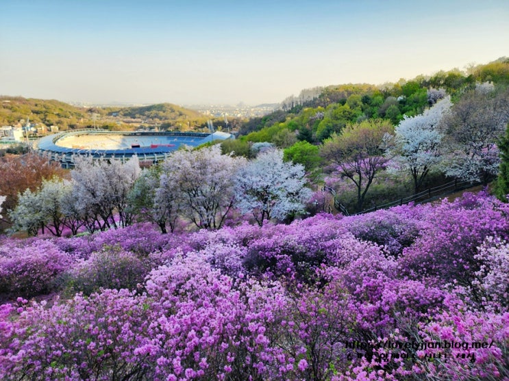 부천 원미산 진달래동산 아침 산책