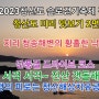 청산도 슬로길 2탄/2023 청산도 슬로걷기축제 전 미리 맛보기/지리 청송해변 낙조/단풍길 드라이브 코스/서걱 서걱~ 진산 갯돌해변/여행의 피로는 청산해상치유공원/캠핑카여행