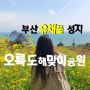 부산 오륙도 해맞이공원 수선화 유채꽃 4월 11월 비교