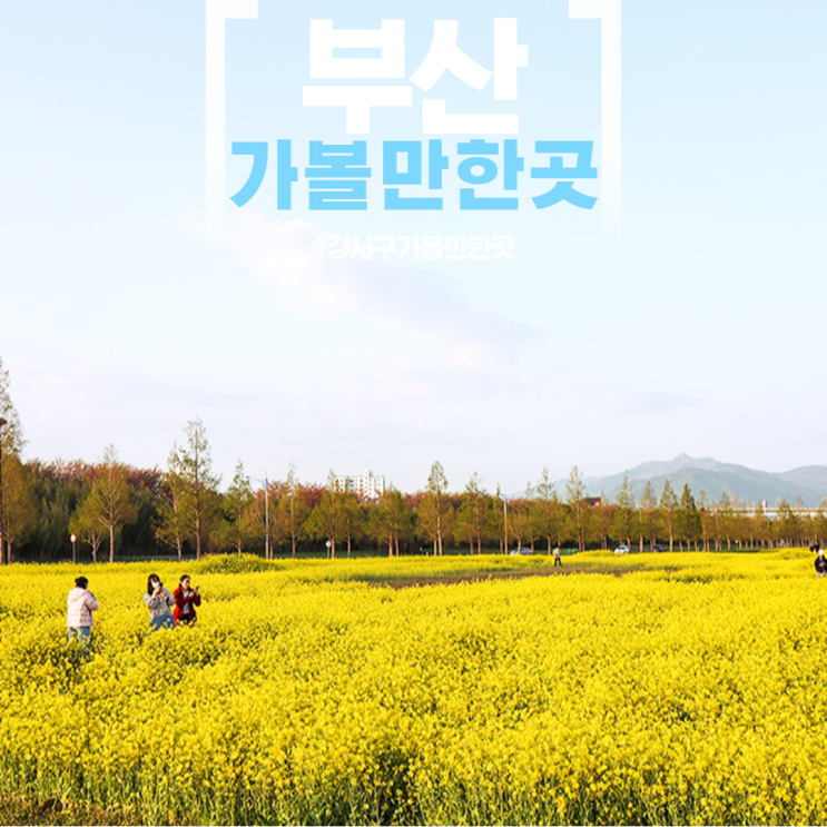 밭 화명생태공원 부산 강서구 가볼만한곳 부산 여행코스 추천