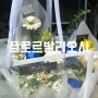 청주 봉명동 꽃집 l 플로르발리오사 청주꽃집 특별한 꽃다발 선물 후기
