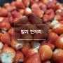 이장님닷컴냉동딸기 만들기 전처리과정