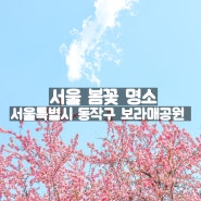 <서울특별시 동작구> 보라매공원 겹벚꽃과 꽃사과꽃