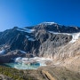 밴쿠버, 옐로나이프, 캐나다 로키 자유여행 41: 재스퍼, 에디스 카벨 산(Mt Edith Cavell) 엔젤 빙하(Angel Galcier)에 가다 (190903, 화, 재스퍼)
