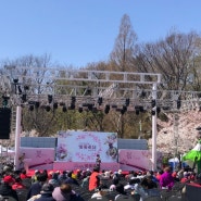 인천 자유공원 벚꽃축제와 차이나타운 음식 시식하기