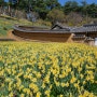 [충남 서산] 서산 4월 가볼 만한 곳 서산 유기방가옥 봄 꽃구경 데이트!