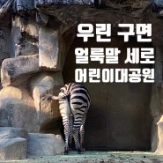 내가 이미 얼룩말 세로와 구면일 줄은~^^