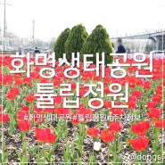 부산 화명동 화명생태공원 튤립 정원 초근접 주차장 네비 주소