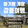 강릉 아기랑 강아지랑 애견동반위주 여행 (가평휴게소/글램독 / 쏠티캐빈 / 소풍)
