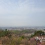 김포 가현산 진달래보러 등산30분코스