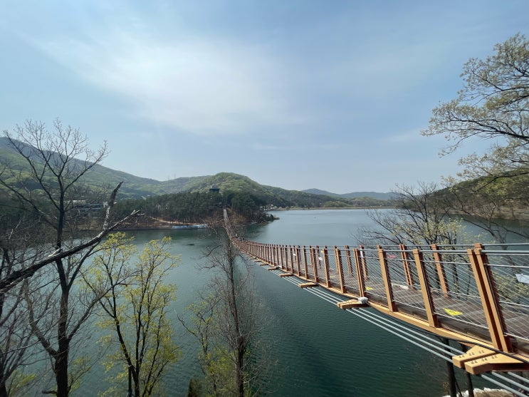파주 마장 호수 출렁다리 산책 : 네이버 블로그