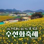 [전남/신안] 1004섬 선도 수선화 축제