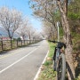 4월 9일, 일요일의 서울 춘천 북한강자전거길 라이딩.벚꽃은 지고 있으나 여전히 강변에는 화려한 벚꽃이 반겨줍니다.