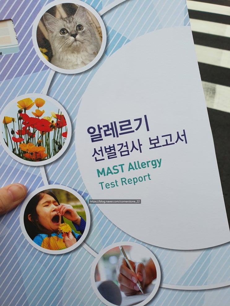 피부과 '알레르기 선별검사(MAST Allergy Test)' 후기/ 만성두드러기 원인 : 네이버 블로그