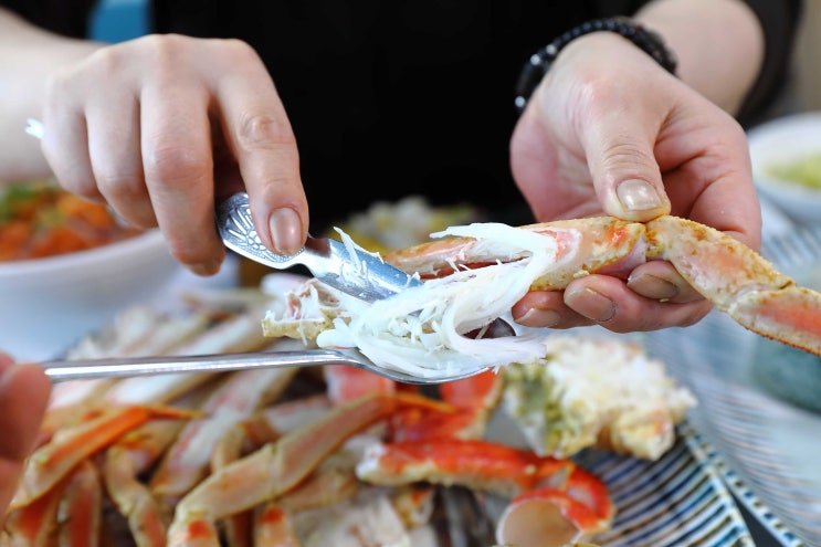 속초아이 근처 대게 맛집 너도대게나도대게 횟집 : 네이버 블로그