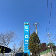 김포 애견카페, 애견운동장 도그캠프 공항점 내돈내산 후기!(김포점과 비교 후기)