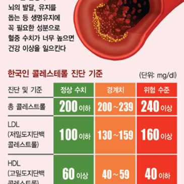 콜레스테롤은 무엇이고 어떻게 관리하나? RSS 대표 이미지