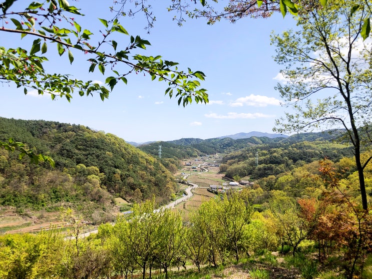 능전수목원 정원이야기_부산창원근교 나들이, 경남 전망좋은 곳...