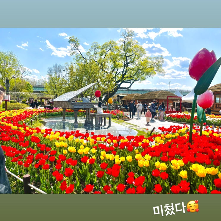 [화원유원지/사문진 주막촌] 튤립 명소, 봄꽃 나돌이