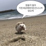 [이름이 일상 조각] 운전면허랑 요가랑 둘 다 괜찮겠냐며 노빠꾸 킵고잉 일상