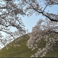 Gyeongju,Ulsan