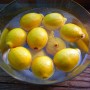 감기예방 환절기 건강 지키는 레몬생강청 만들기 수제 레몬차로 마셔요