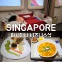 싱가포르여행 아시아나 비즈니스석 탑승기 아기랑비행기
