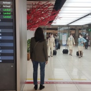 김포공항 주차대행 예약 김포공항전망대주차 보다 좋은 코지파킹