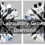 결혼 예물 반지로 랩 그로운 다이아몬드의 합성석 미래 보석 가치와 보석 정보