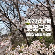 2023년 서울의 벚꽃 - 너무 빨랐던 개화 @배봉산 둘레길 & 올림픽공원