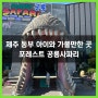 제주도 동부 4살 (31개월) 아이와 가볼만한 곳 포레스트 공룡사파리