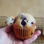 블루베리 머핀 만들기- 냉동 블루베리 활용/ 아이 간식 만들기/ 홈베이킹 컵케이크 레시피