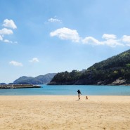 여수 애견동반 여행 돌산 방죽포 해수욕장 : 즐거운 봄 바다