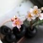 봄날의 벚꽃 캔들