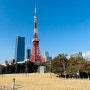 드디어 겨울일본!!! 2월 도쿄여행!!!_아시아나, 도쿄하네다공항, 돈카츠아오키,롯폰기힐스모리타워, 도쿄야경