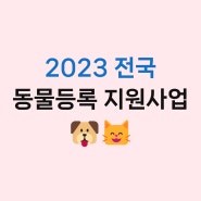 2023년 전국 동물등록 지원 내용 알아보기