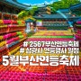 부산연등축제 삼광사 연등행사 2023년 행사일정 주차정보