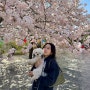 [04.09 각원사]_겹벚꽃 봄나들이 with. 오빠랑 구름이 (블로그 마지막에 주차 꿀팁 있음!)