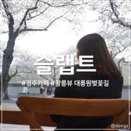 경주 데이트 대릉원돌담길 벚꽃길 왕릉뷰 슬랩트 커피
