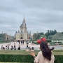 도쿄 3일차 : 디즈니랜드 입성 !!
