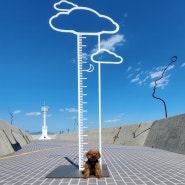 전남 여수 돌산 여행 한국의 베니스 두문마을의 달님과 강아지