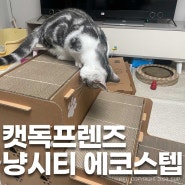 내돈내산 봉봉리뷰 [캣독프렌즈 냥시티 에코스텝 숨숨집] 먼치킨 봉봉이를 위한 고양이 계단, 펫스텝 :)