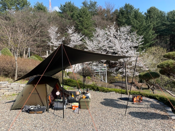 #20 포천 수목원프로방스캠핑장 벚꽃캠핑 : 네이버 블로그