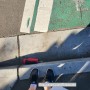호주 시드니 일상/ 시티에서부터 9km 걸어서 출근하기
