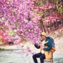 완산칠봉 꽃동산 & 13개 봉우리