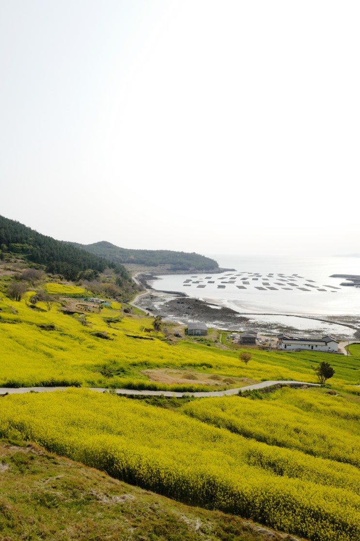 전남 완도 청산도 섬여행 : 네이버 블로그